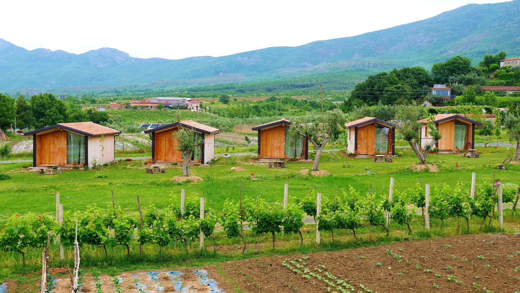 Fishta Guesthouse - Mrizi I Zanave Fishte Luaran gambar